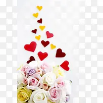 �ֻ��ɫƯ������-������