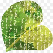 �ֻ���Ҷ��ĸ����-������