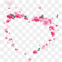 粉色玫瑰-空若网 粉色玫瑰-空若网