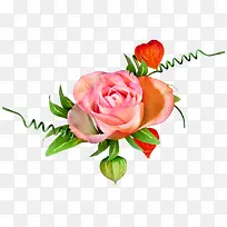 粉色玫瑰和红色爱心-空若网 粉色玫瑰和红色爱心-空若网