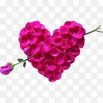 爱心粉色玫瑰图片设计-空若网 爱心粉色玫瑰图片设计-空若网