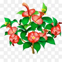 »¨Ê÷-¿ÕÈôÍø »¨Ê÷-¿ÕÈôÍø