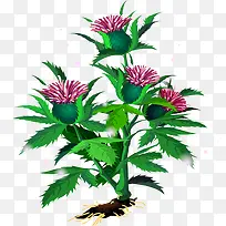 花树-空若网 花树-空若网