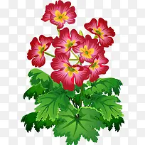 花树-空若网 花树-空若网