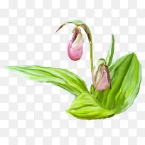 彩绘绿草绿叶红花-空若网 彩绘绿草绿叶红花-空若网