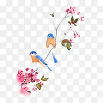 ˮ����컨��Ҷ-������