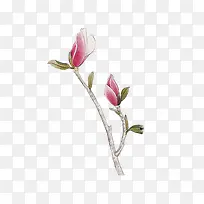 ˮ�ʺ컨��Ҷ��-������