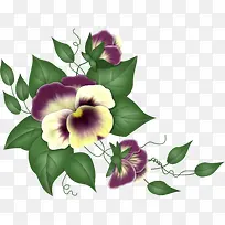 Ë®²ÊÂÌÒ¶ºì»¨-¿ÕÈôÍø Ë®²ÊÂÌÒ¶ºì»¨-¿ÕÈôÍø