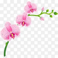 手绘红花 花骨朵 绿叶 树枝png素材-空若网 手绘红花 花骨朵 绿叶 树枝png素材-空若网