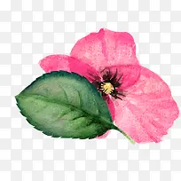 Ë®²ÊÊÖ»æÂÌÒ¶-¿ÕÈôÍø Ë®²ÊÊÖ»æÂÌÒ¶-¿ÕÈôÍø