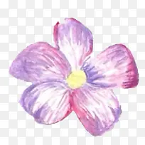 手绘花-空若网 手绘花-空若网