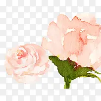 ˮ���ֻ滨��-������