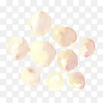 手绘花瓣-空若网 手绘花瓣-空若网