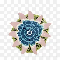 花-空若网 花-空若网