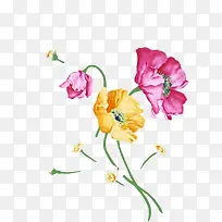 �廭-������