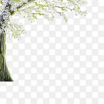 树-空若网 树-空若网