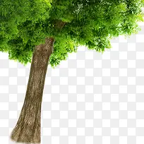 Ê÷-¿ÕÈôÍø Ê÷-¿ÕÈôÍø