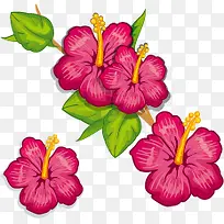 �ֻ滨��-������