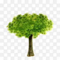 树-空若网 树-空若网