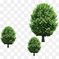 Ê÷-¿ÕÈôÍø Ê÷-¿ÕÈôÍø