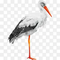 ����-������