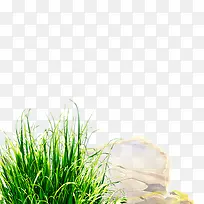 ��-������