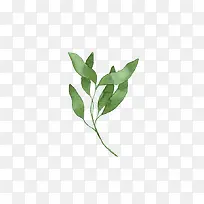 绿色的卡通手绘叶子-空若网 绿色的卡通手绘叶子-空若网