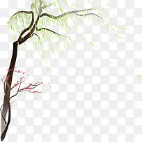 植物插画-空若网 植物插画-空若网