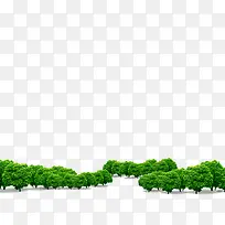 树-空若网 树-空若网