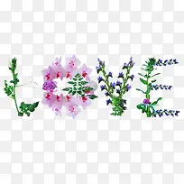 ���Ļ���-������