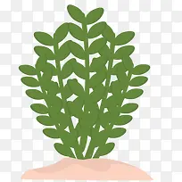 绿色小草植物-空若网 绿色小草植物-空若网