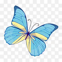 ��ɫ����-������