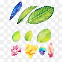 �ֻ���Ҷ��ɫ�����ز�-������