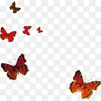 卡通蝴蝶漂浮素材-空若网 卡通蝴蝶漂浮素材-空若网