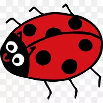 ����ư�������-������