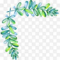 绿草-空若网 绿草-空若网