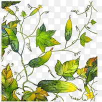 草 绿叶-空若网 草 绿叶-空若网