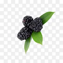 ��ɫˮ����Ҷ-������