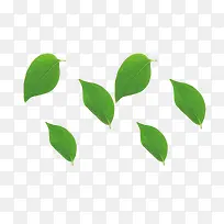卡通手绘绿色叶子-空若网 卡通手绘绿色叶子-空若网