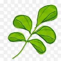 �ֻ���Ҷ-������