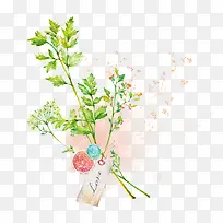 ˮ����Ҷ-������