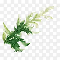 绿草-空若网 绿草-空若网