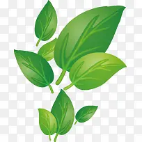 叶子png矢量素材-空若网 叶子png矢量素材-空若网