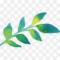 ˮ����Ҷ-������