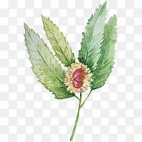 Ë®²ÊÖ²Îï-¿ÕÈôÍø Ë®²ÊÖ²Îï-¿ÕÈôÍø