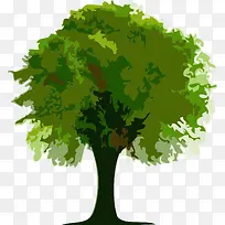 ÂÌÉ«Ê÷-¿ÕÈôÍø ÂÌÉ«Ê÷-¿ÕÈôÍø