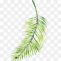 绿叶装饰-空若网 绿叶装饰-空若网