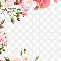 粉红色的花朵-空若网 粉红色的花朵-空若网