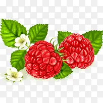 红色水果-空若网 红色水果-空若网