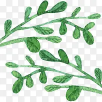 �ֻ���ɫˮ��Ҷ��-������